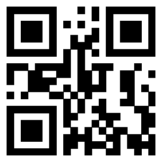 Il Qr Code di 3919847947