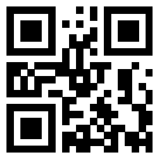 Il Qr Code di 3919847953