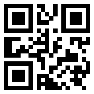 QrCode di 3919847958