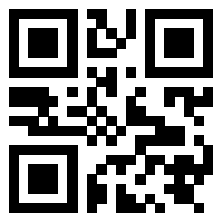 Il Qr Code di 3919847979