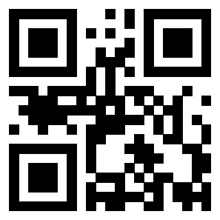 Immagine del Qr Code di 3919848013
