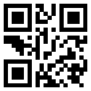 Il Qr Code di 3919848024