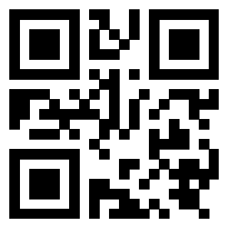 QrCode di 3919848036