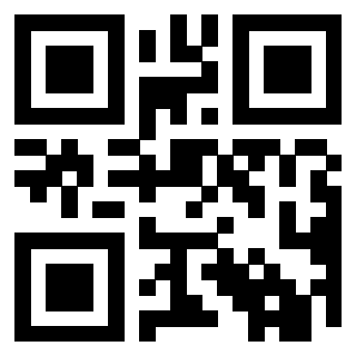 QrCode di 3919848038