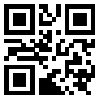 Il Qr Code di 3919848047
