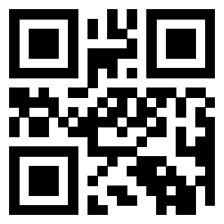 QrCode di 3919848049