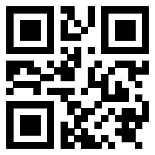 Il Qr Code di 3919848050