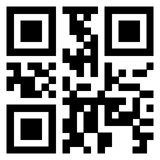 Il QrCode di 3919848056