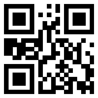 QrCode di 3919848062