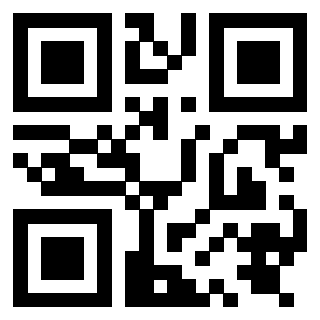 Il Qr Code di 3919848070