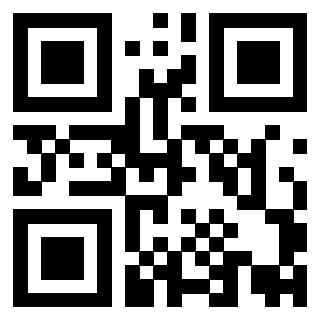 QrCode di 3919848078
