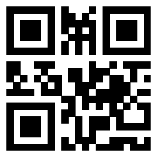 Il Qr Code di 3919848082