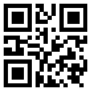 QrCode di 3919848085