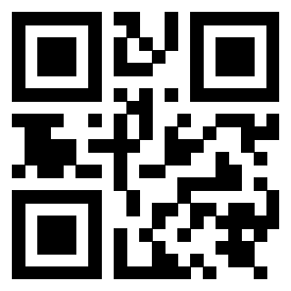 Il Qr Code di 3919848089