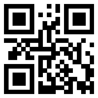 Il Qr Code di 3919848121