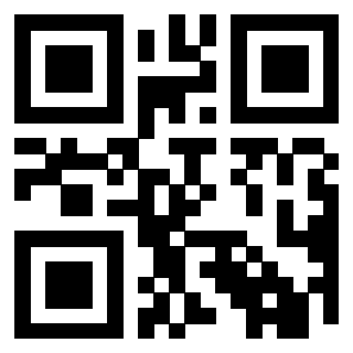 Il Qr Code di 3919848126
