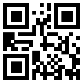 QrCode di 3919848138