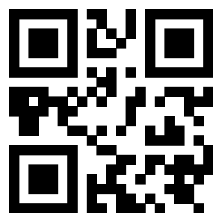 Il Qr Code di 3919848163