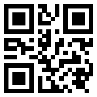 Il Qr Code di 3919848198