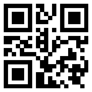 QrCode di 3919848205