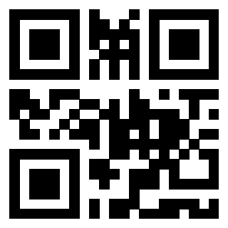 Il Qr Code di 3919848213