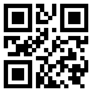 QrCode di 3919848245