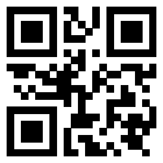 Il Qr Code di 3919848247