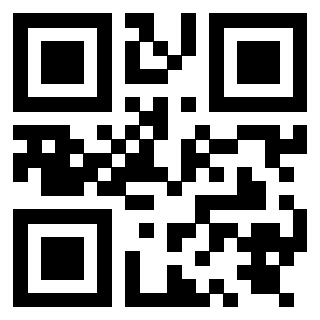 QrCode di 3919848249