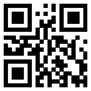 Il Qr Code di 3919848253