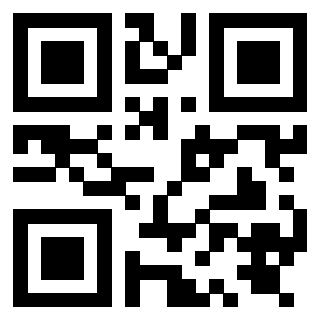 Il Qr Code di 3919848261