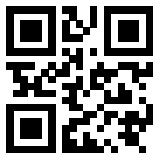 Il QrCode di 3919848271