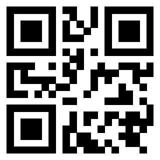 Il Qr Code di 3919848283