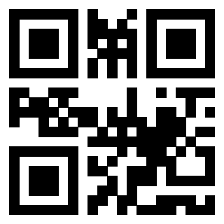 3919848287 QrCode associato