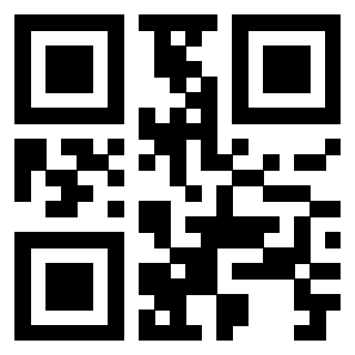 3919848295 QrCode associato