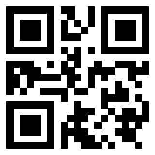 Il Qr Code di 3919848296