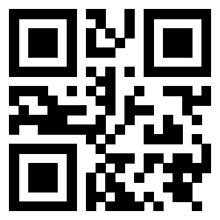 QrCode di 3919848343
