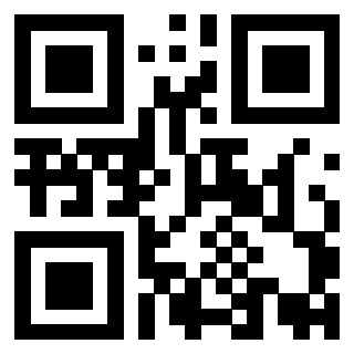 Il Qr Code di 3919848350