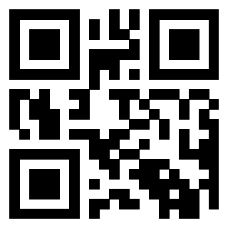 Il Qr Code di 3919848369