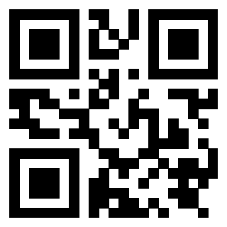 Il Qr Code di 3919848384