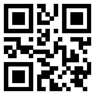 Il Qr Code di 3919848386
