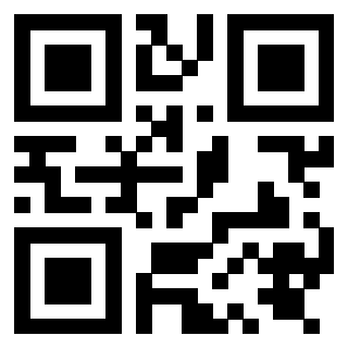 Il Qr Code di 3919848468