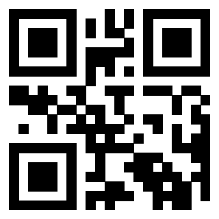 Il Qr Code di 3919848479