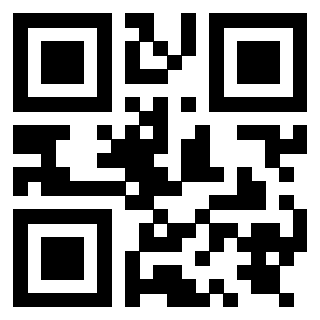 Il Qr Code di 3919848481