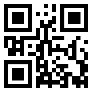 QrCode di 3919848495