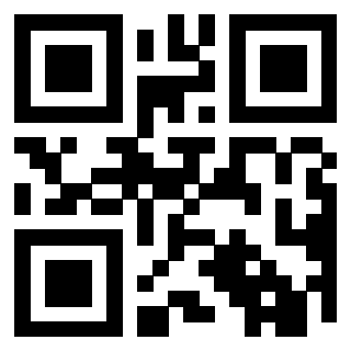 Il Qr Code di 3919848505