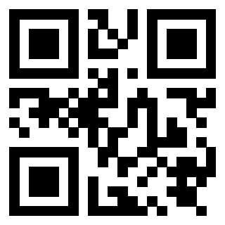 Il Qr Code di 3919848564