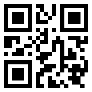 Il Qr Code di 3919848567