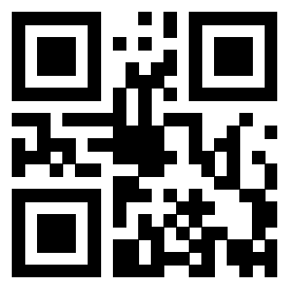 Il Qr Code di 3919848569