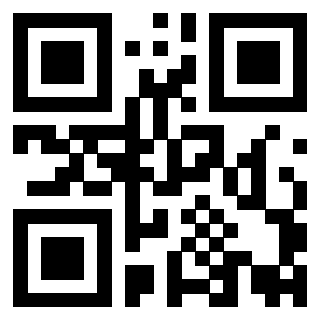 Il Qr Code di 3919848580