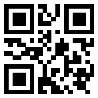Il Qr Code di 3919848587